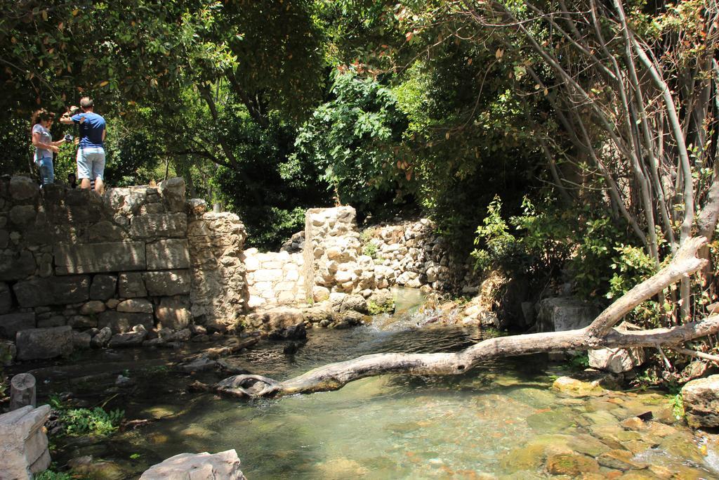 מלון Olympos Mitos מראה חיצוני תמונה